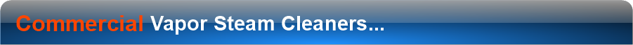 See All Vapor Steam Cleaners...